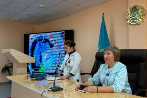 Мейірбикелер конференциясы